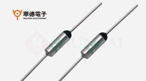 TG系列15A温度保险丝